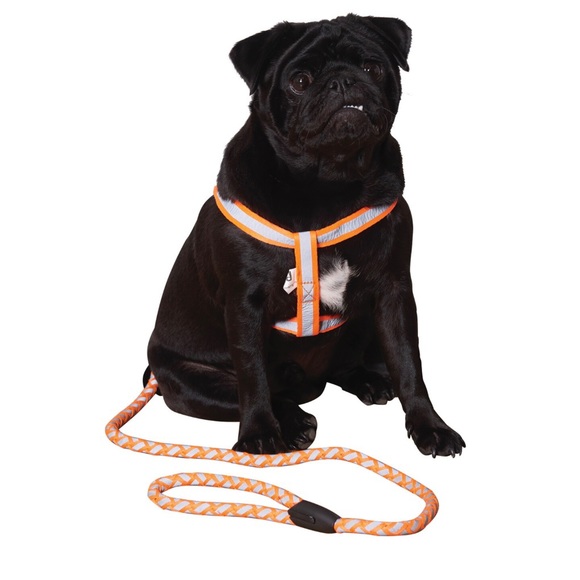 Clever Paws Dog New With Tag Clever Paws Neon Orange Reflective